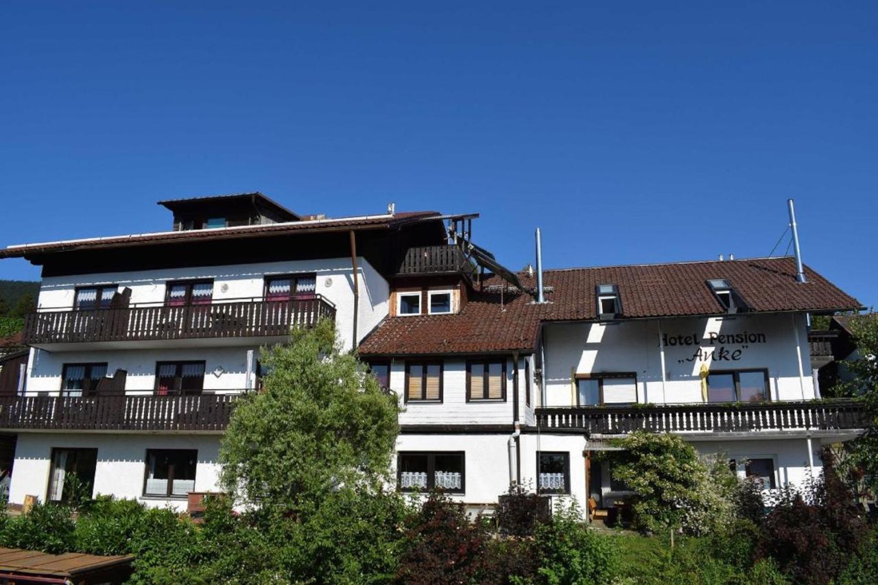 Hotel Pension Anke Bodenmais Exterior photo